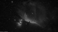 Horse Head & Flame Nebula